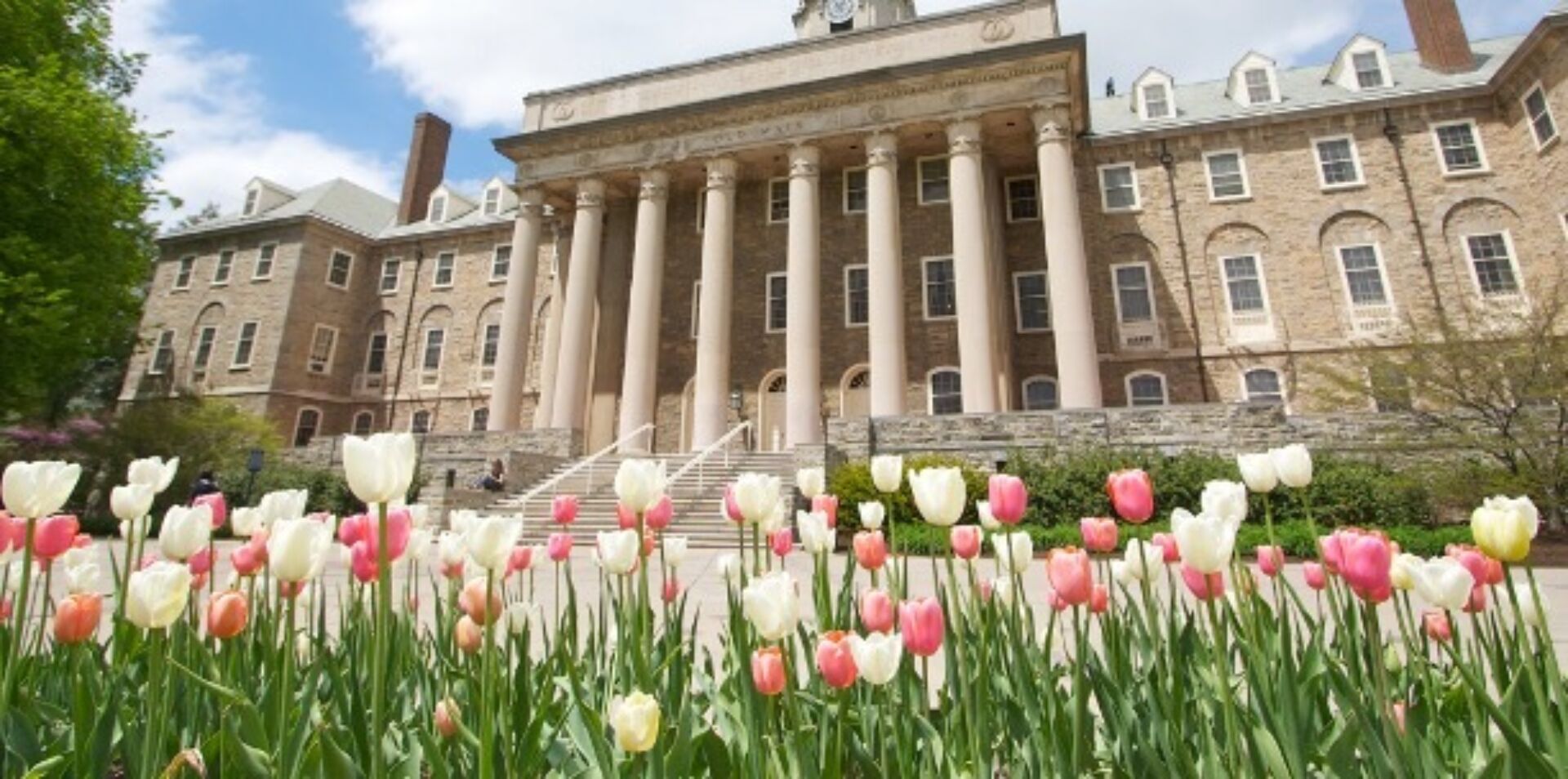 Pink and white tulips in bloom in front of Old Main at the Penn State University Park campus.