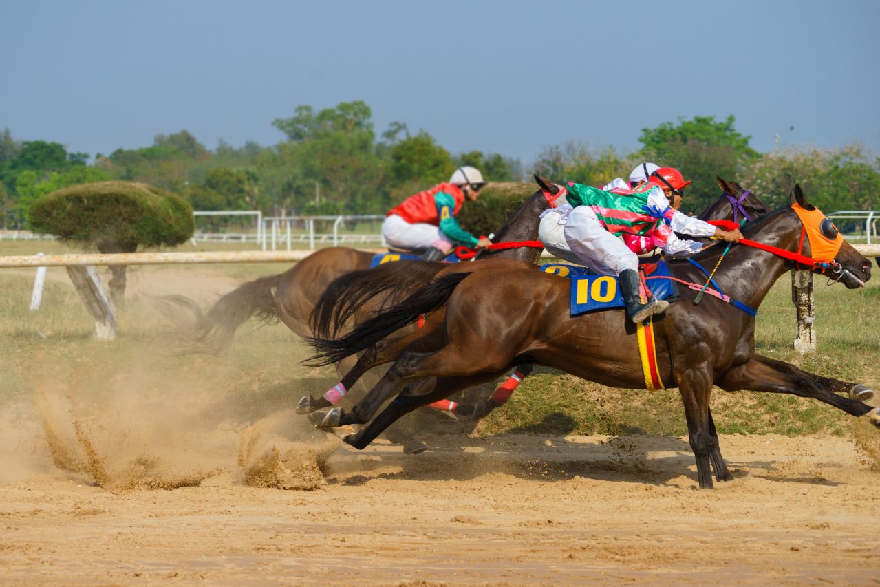 Jockeys in colorful jerseys racing brown horses, close together and dust cloud behind horses' hooves.