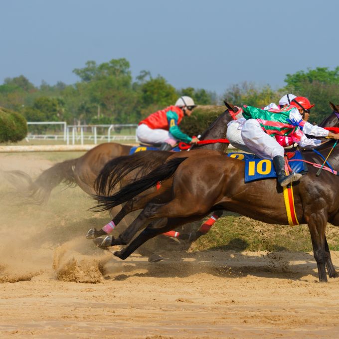 Jockeys in colorful jerseys racing brown horses, close together and dust cloud behind horses' hooves.