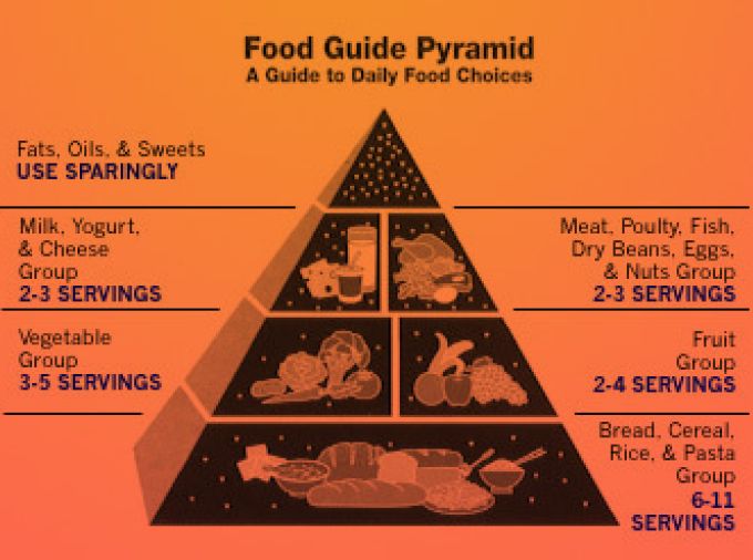 USDA Food Pyramid